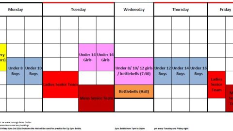 Pitch Timetable 2016