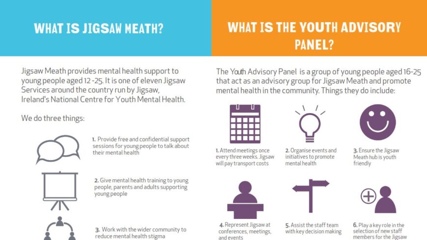 Jigsaw Meath Youth Particaption Panel