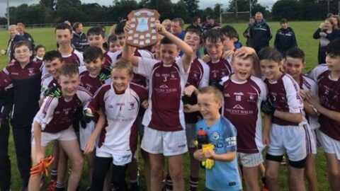 U-14’s round off a great year with Paddy O’Brien Cup Final win over Longwood