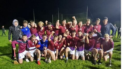 Moynalvey/Boardsmill claim Division 6 Minor Championship Honours