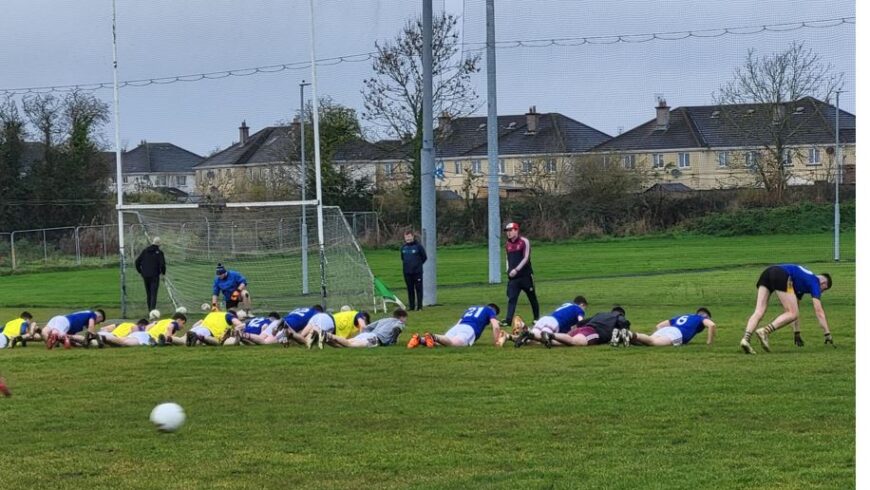 Comfortable Win over Na Fianna sees Jenkinstown Gaels advance to Final