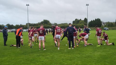 Moynalvey had four points to spare over visitors Walterstown in this round ten game