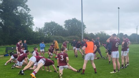 Twelve point Win over Syddan retains Div. 2 League Status