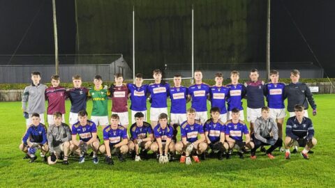 Jenkinstown Gaels go down to Na Fianna in Round One of the Championship: