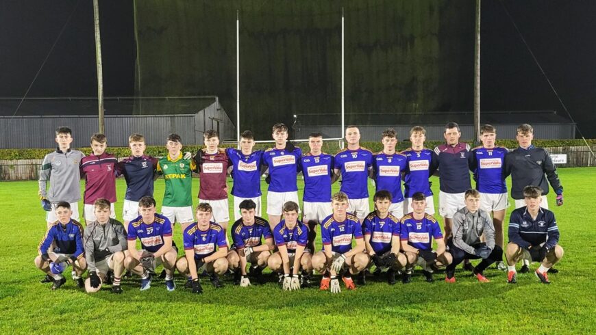 Jenkinstown Gaels go down to Na Fianna in Round One of the Championship: