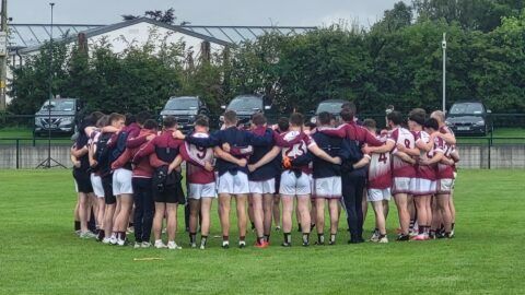 Moynalvey lose out to Trim in Div. 2 League decider